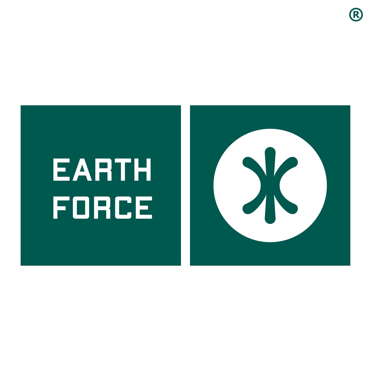 Earth Force Identity Kapuzenpullover