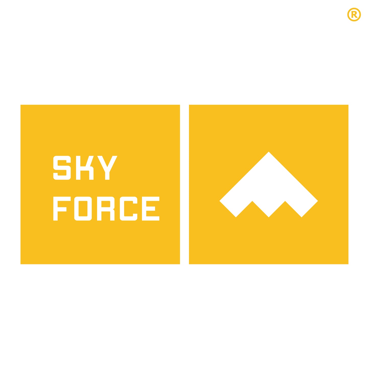 Sky Force ™ Ascend Identity Hoodie